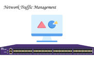 NetInsight™ Visibility Network Traffic Management Optimize your Network Stronger