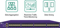 DPI Data Aggregation Passive Network Tap With Real-Time Traffic Trend Monitoring Data Slicing