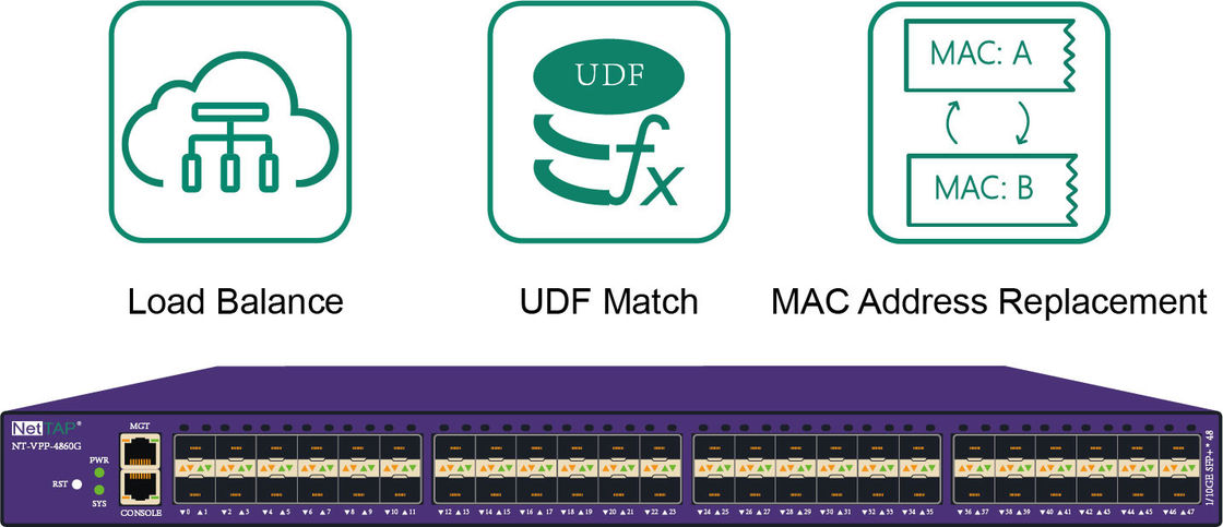 Load Balance Network TAP Network Security Services with UDF Match and Data Filtering
