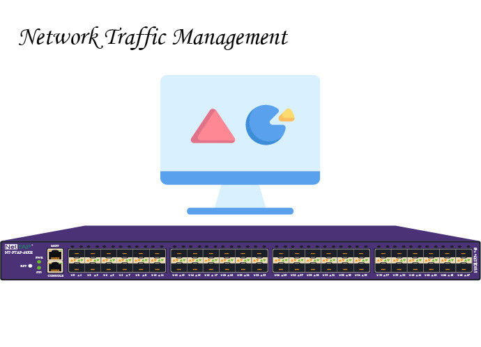 NetInsight™ Visibility Network Traffic Management Optimize your Network Stronger