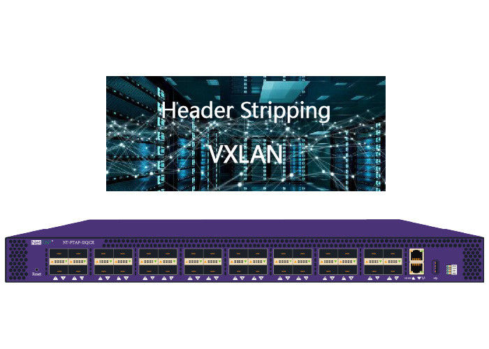 Network Packet Broker VXLAN Header Stripping Of Underlay Overlay And VTEP Ethernet Tap Device